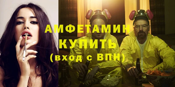 мдпв Гатчина
