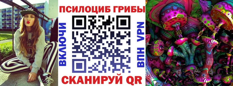 Псилоцибиновые грибы прущие грибы mega сайт Валдай сколько стоит